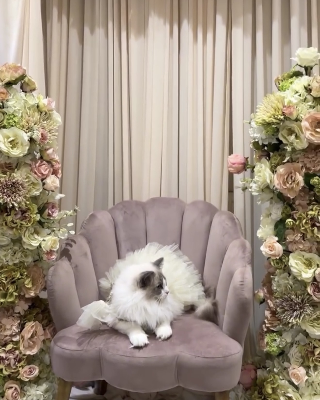 Green theme backdrop 4